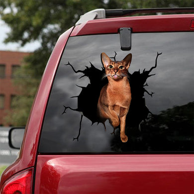 [ld0079-snf-lad]-the-abyssinian-crack-car-sticker-cats-lover