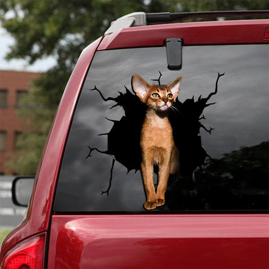 [ld0080-snf-lad]-the-abyssinian-crack-car-sticker-cats-lover