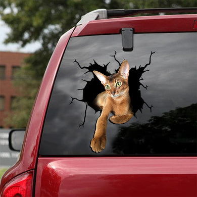 [ld0081-snf-lad]-the-abyssinian-crack-car-sticker-cats-lover