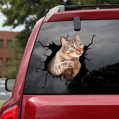 [ld0130-snf-lad]-the-american-shorthair-crack-car-sticker-cats-lover