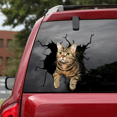 [ld0131-snf-lad]-the-american-shorthair-crack-car-sticker-cats-lover