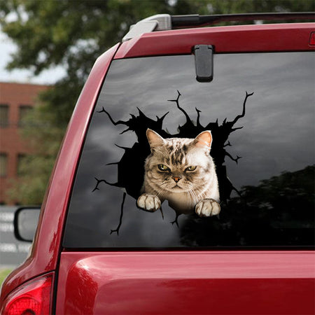 [ld0132-snf-lad]-the-american-shorthair-crack-car-sticker-cats-lover