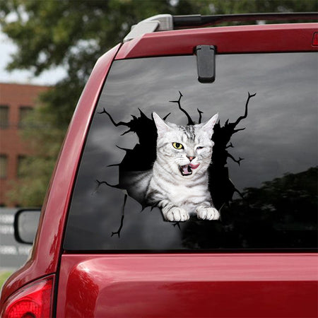 [ld0133-snf-lad]-the-american-shorthair-crack-car-sticker-cats-lover