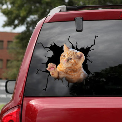 [ld0134-snf-lad]-the-american-shorthair-crack-car-sticker-cats-lover