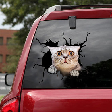 [ld0135-snf-lad]-the-american-shorthair-crack-car-sticker-cats-lover