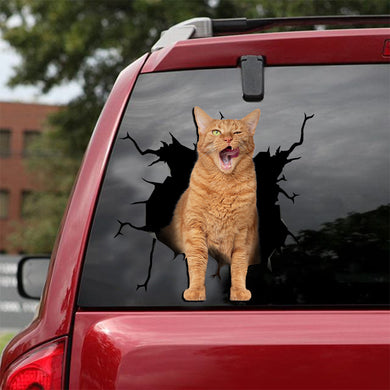 [ld0136-snf-lad]-the-american-shorthair-crack-car-sticker-cats-lover