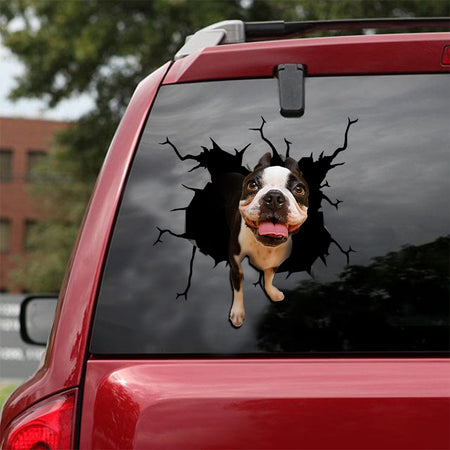 [ld0047-snf-lad]-boston-terrier-crack-car-sticker-dogs-lover