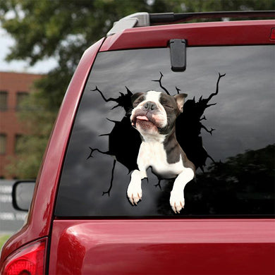 [ld0048-snf-lad]-boston-terrier-crack-car-sticker-dogs-lover