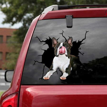 [ld0049-snf-lad]-boston-terrier-crack-car-sticker-dogs-lover