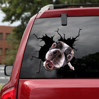 [ld0050-snf-lad]-boston-terrier-crack-car-sticker-dogs-lover