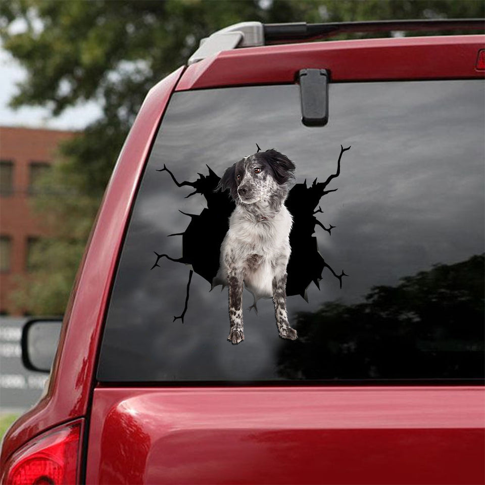 [ld1362-snf-lad]-stabyhoun-crack-car-sticker-dogs-lover