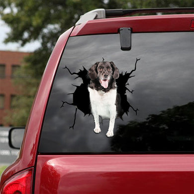 [ld1363-snf-lad]-stabyhoun-crack-car-sticker-dogs-lover