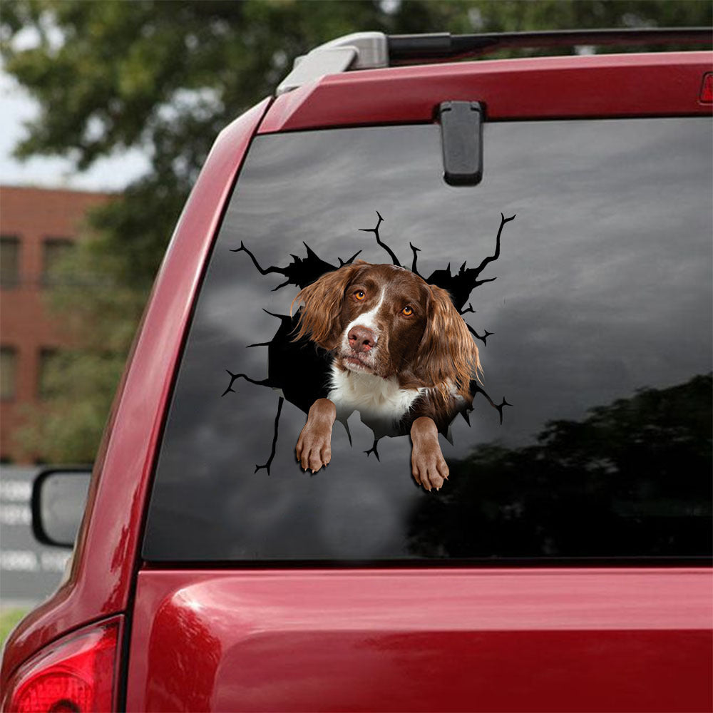 [ld1364-snf-lad]-stabyhoun-crack-car-sticker-dogs-lover