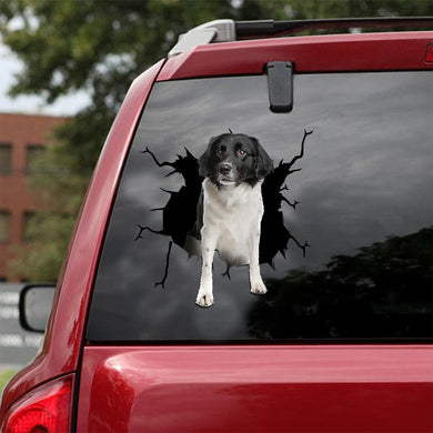 [ld1365-snf-lad]-stabyhoun-crack-car-sticker-dogs-lover