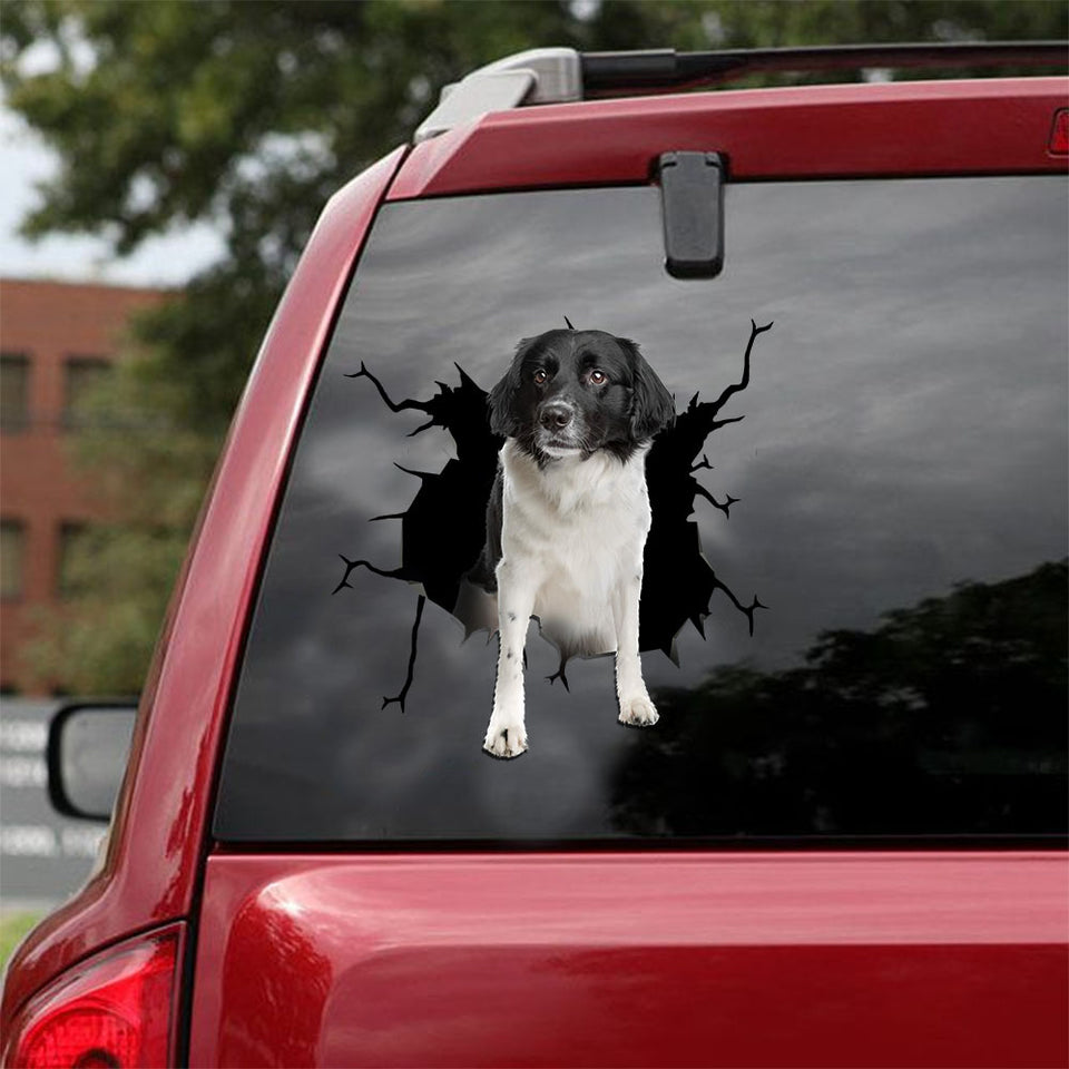 [ld1365-snf-lad]-stabyhoun-crack-car-sticker-dogs-lover