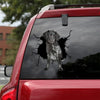 [ld1367-snf-lad]-stabyhoun-crack-car-sticker-dogs-lover