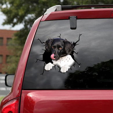 [ld1368-snf-lad]-stabyhoun-crack-car-sticker-dogs-lover