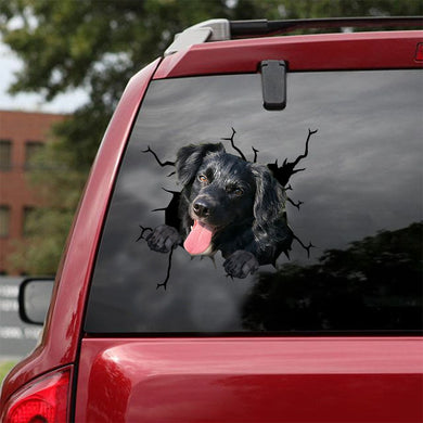 [ld1369-snf-lad]-stabyhoun-crack-car-sticker-dogs-lover