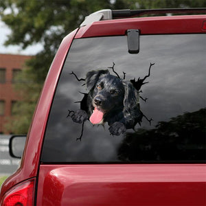 [ld1369-snf-lad]-stabyhoun-crack-car-sticker-dogs-lover