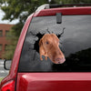 [ld1372-snf-lad]-vizsla-crack-car-sticker-dogs-lover