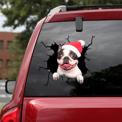 [sk1430-snf-tpa]-boston-terrier-crack-car-sticker-dogs-lover