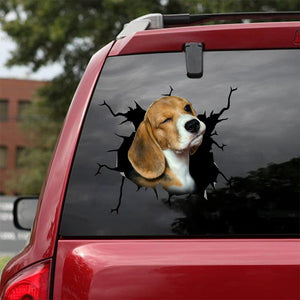 [sk1399-snf-lad]-beagle-crack-sticker-dogs-lover