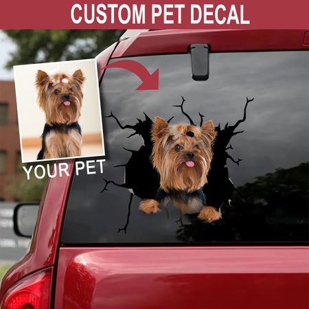 [psl-snf-ptd]-personalized-your-pet-yorkshire-crack-car-sticker-lover