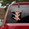 [sk0429-snf-tpa] Cats Crack Car Sticker Cats Lover - Camellia Print
