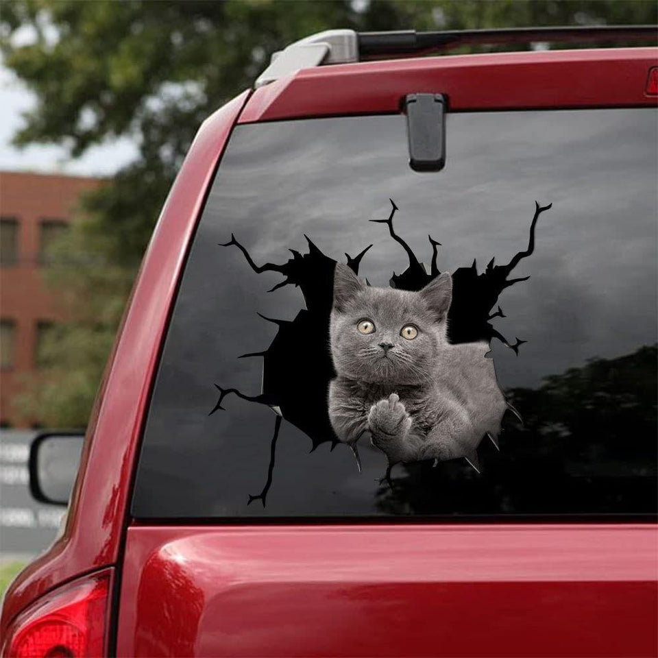 [sk0428-snf-tpa] Funny Cats Crack Car Sticker Cats Lover - Camellia Print