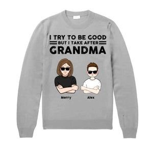 [DT1069-ds-tnt] I take after grandma Customized All type shirts Family Lovers