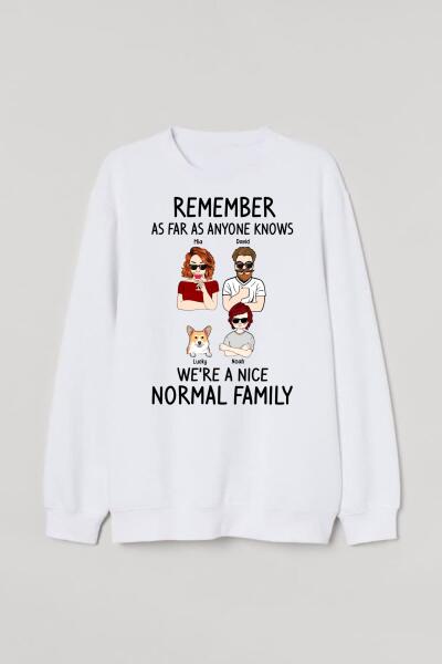 [PQ0277-ds-lad] We are a nice normal family Customized All type shirts Family Lovers