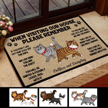 When Visiting Our House Please Remember Customized Doormat Cat Lovers