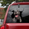 [ld0060-snf-lad]-cane-corso-crack-car-sticker-dogs-lover