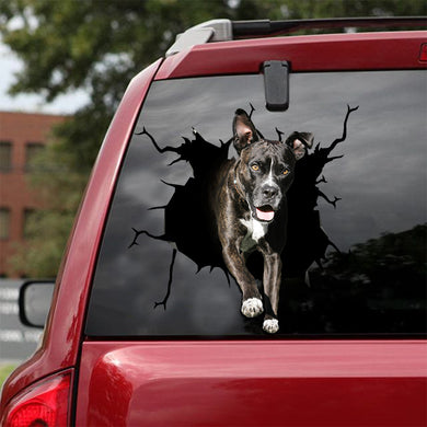 [ld0061-snf-lad]-cane-corso-crack-car-sticker-dogs-lover