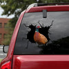 [bv0028-snf-tnt]-pheasant-crack-car-sticker-pheasant-lover