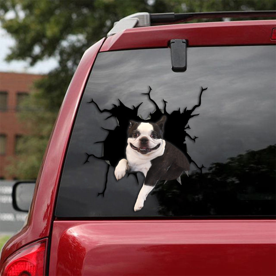 [sk1016-snf-tpa]-boston-terrier-crack-sticker-dogs-lover