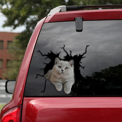 [sk1001-snf-tpa]-british-shorthair-ash-crack-car-sticker-cats-lover
