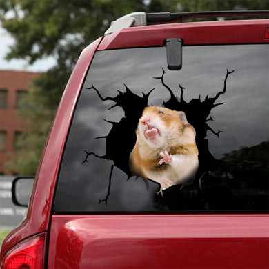 [ld0110-snf-lad]-hamster-crack-car-sticker-animals-lover