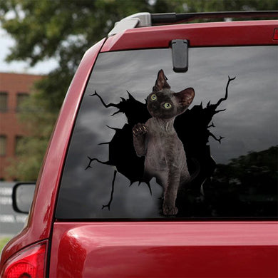 [ld0089-snf-lad]-the-devon-rex-cat-crack-car-sticker-cats-lover