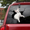 [ld0090-snf-lad]-the-devon-rex-cat-crack-car-sticker-cats-lover