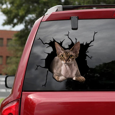 [ld0091-snf-lad]-the-devon-rex-cat-crack-car-sticker-cats-lover