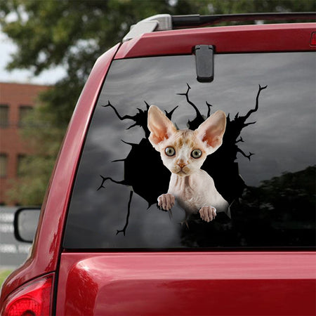 [ld0092-snf-lad]-the-devon-rex-cat-crack-car-sticker-cats-lover