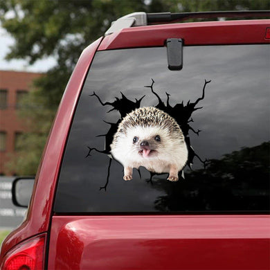 [bv0056-snf-lad]-hedgehog-crack-car-sticker-hedgehog-lover