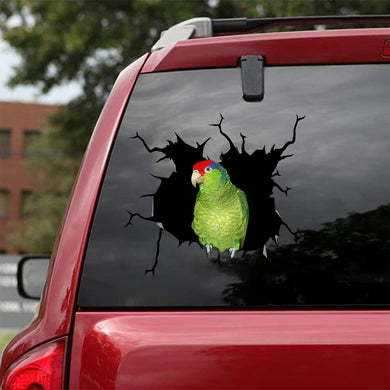 [bv0033-snf-tnt]-parrot-crack-car-sticker-parrot-lover