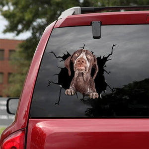 [bv0036-snf-tpa]-german-shorthaired-pointer-crack-car-sticker-dogs-lover