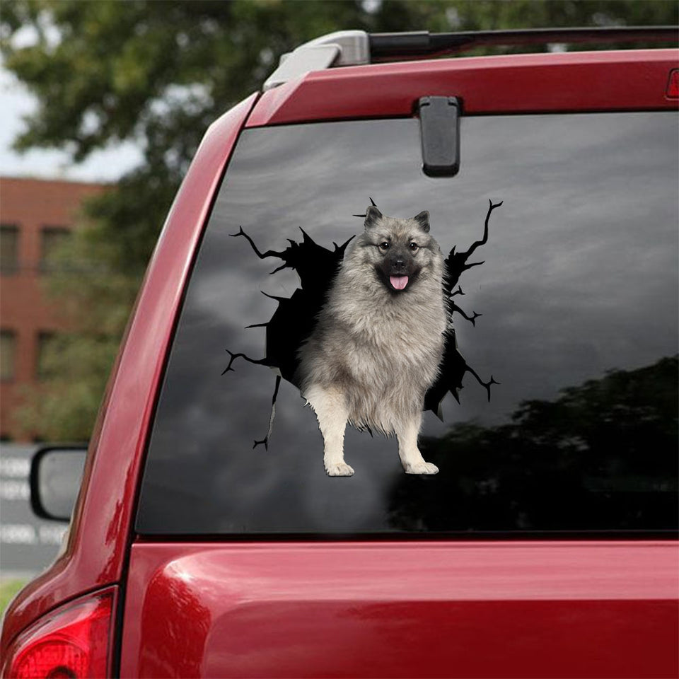 [ld1423-snf-lad]-keeshond-crack-car-sticker-dogs-lover