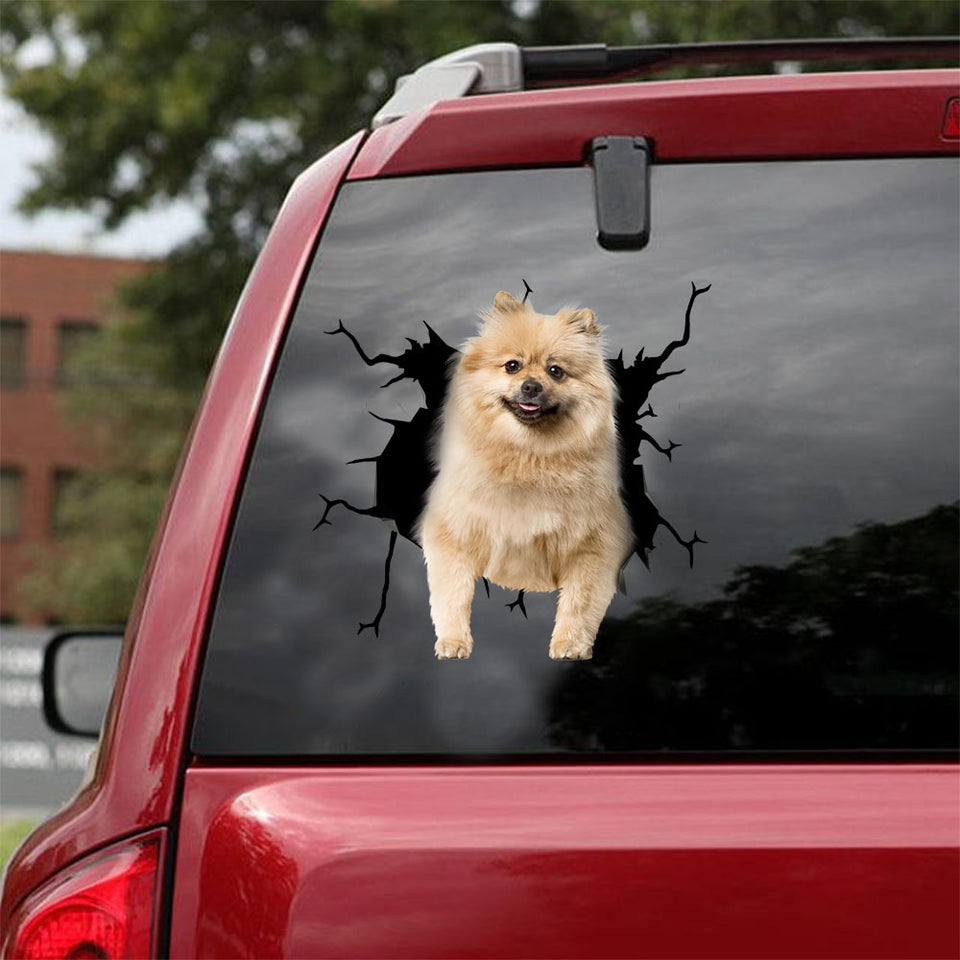 [ld1425-snf-lad]-keeshond-crack-car-sticker-dogs-lover
