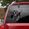 [th0059-snf-tpa]-labradoodle-crack-car-sticker-dogs-lover