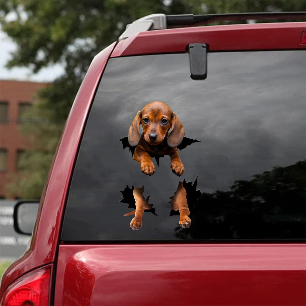 [da0479-snf-tnt]-dachshund-crack-car-sticker-dogs-lover