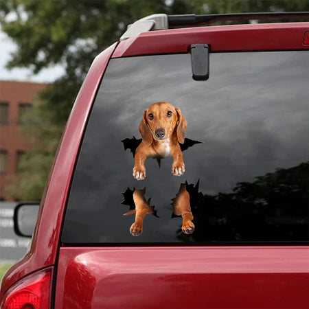 [da0480-snf-tnt]-dachshund-crack-car-sticker-dogs-lover